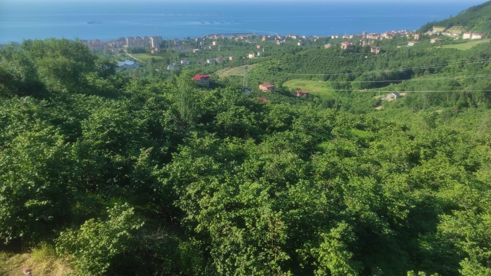 MABEL'DEN ARSİNDE YATIRIMLIK 2.8 DÖNÜM DENİZ MANZARALI ARSA